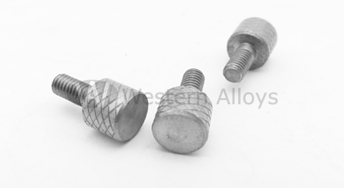 Vis Inconel 600