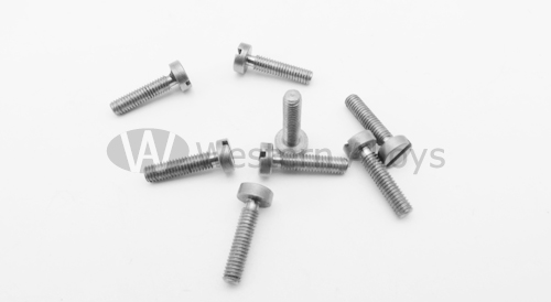 Vis en zirconium